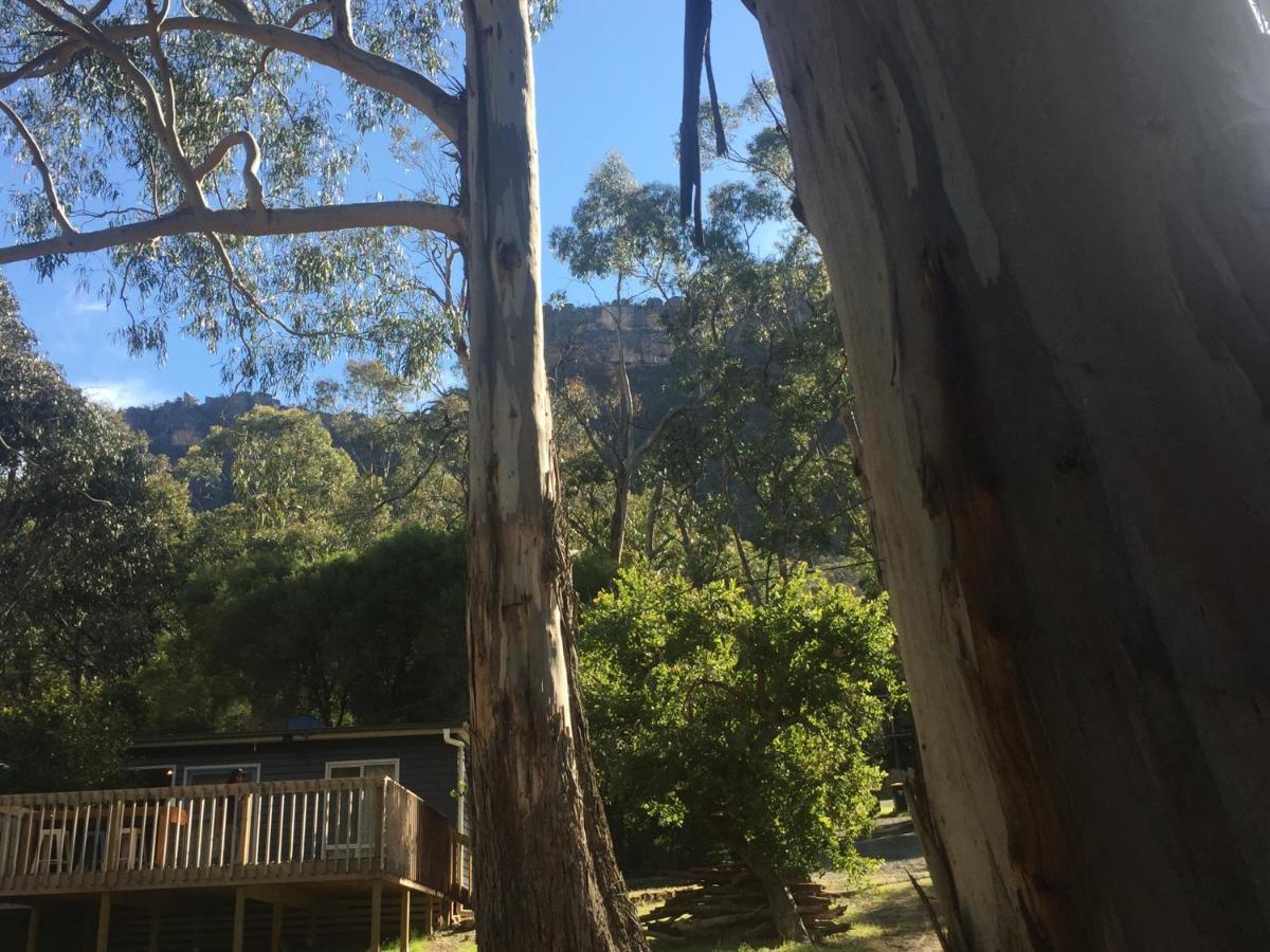 Grampians Nest Villa Halls Gap Bagian luar foto