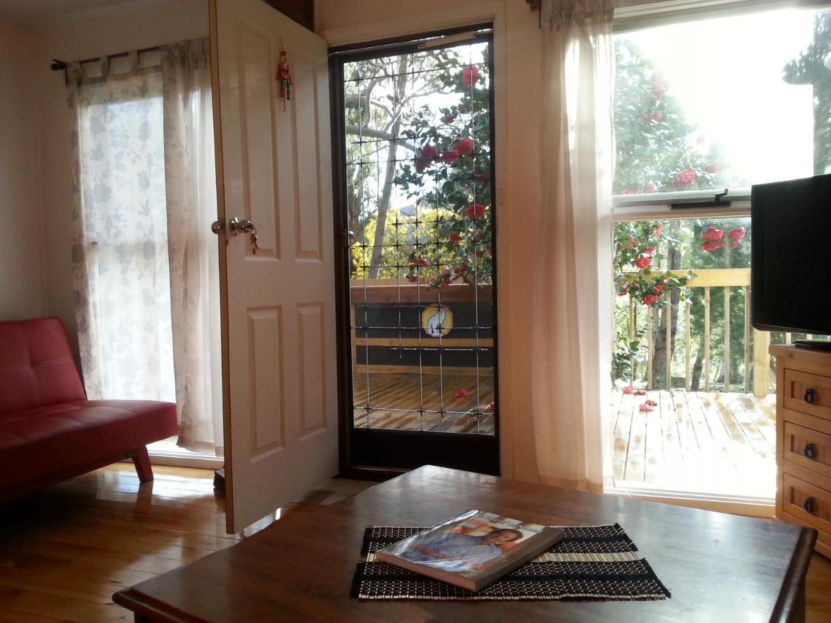 Grampians Nest Villa Halls Gap Bagian luar foto